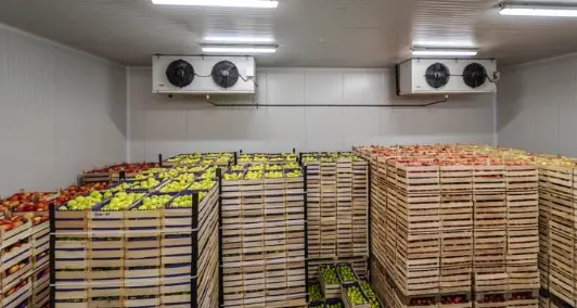Cold Room Selection & Design for Fresh Produce – A Guide by Colderman