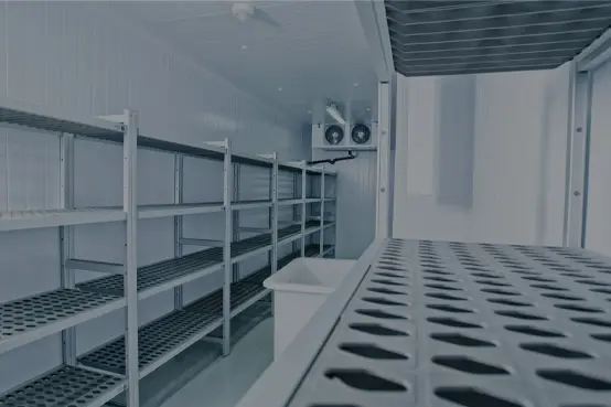 Cold Room