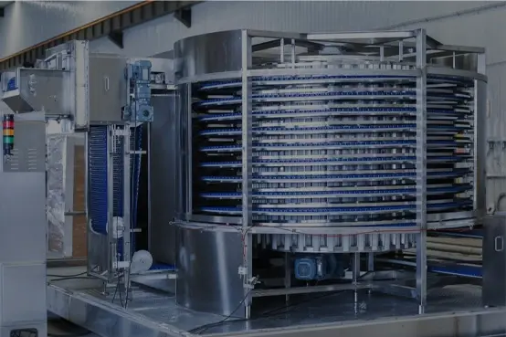 IQF (Spiral Freezing Systems)