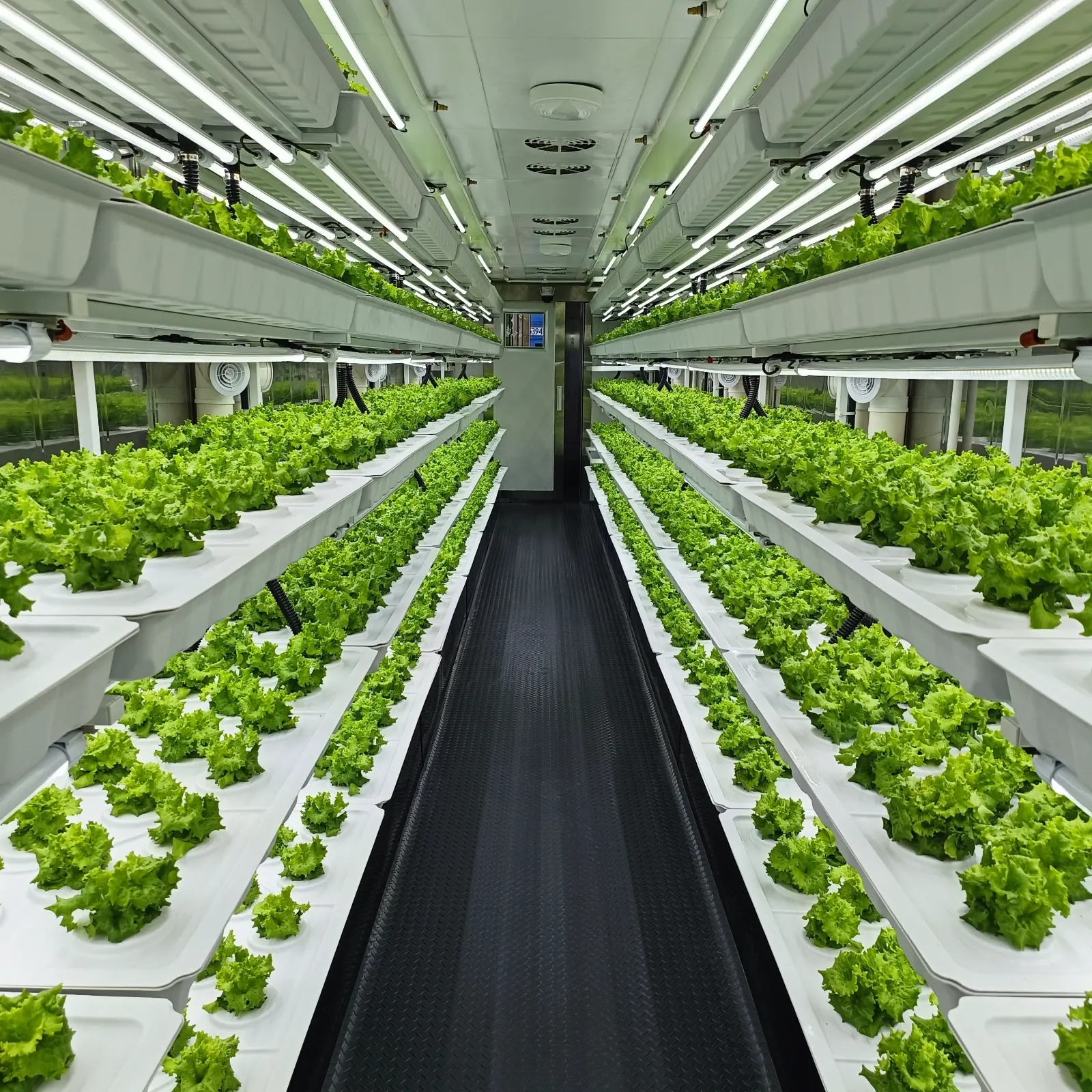 Hydroponic Container Systems